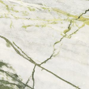 Calacatta Green Polished 120x120 cm