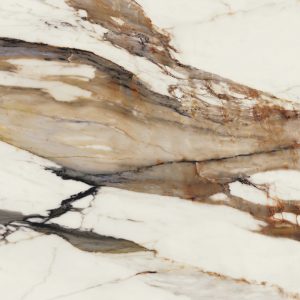Paonazzo Biondo Polished 120x120 cm