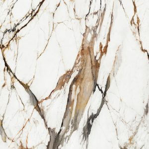 Paonazzo Biondo Polished 120x270 cm