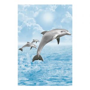 Juego Kalipso Dig 20x30